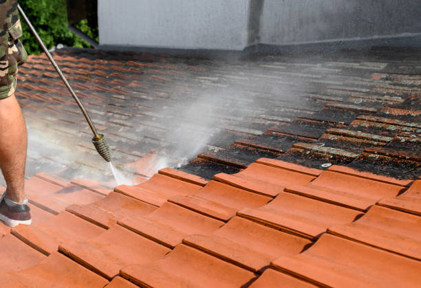 Best Power Washing Near Me  in Tiffin, IA