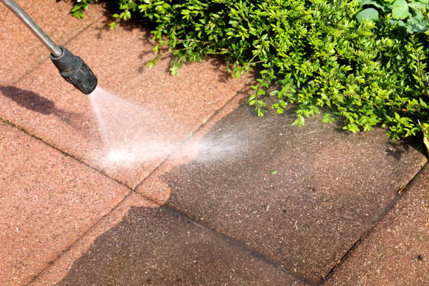Best Pressure Washing Patio  in Tiffin, IA
